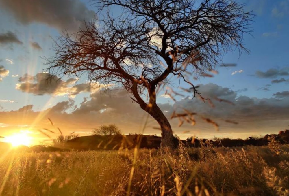 Ai Aiba The Rock Painting Lodge